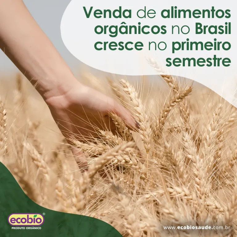Venda de alimentos orgânicos no Brasil cresce no primeiro semestre